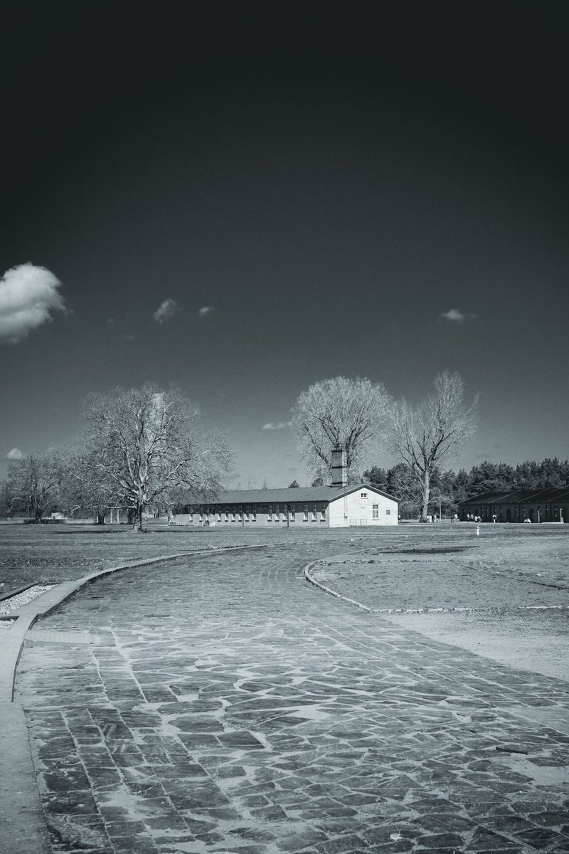 A path of irregular slabs crosses the former camp grounds towards one of the barracks.