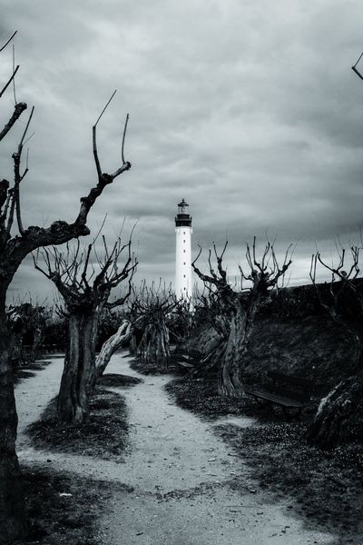 Un sendero de grava se abre entre tamarices retorcidos hasta el faro.