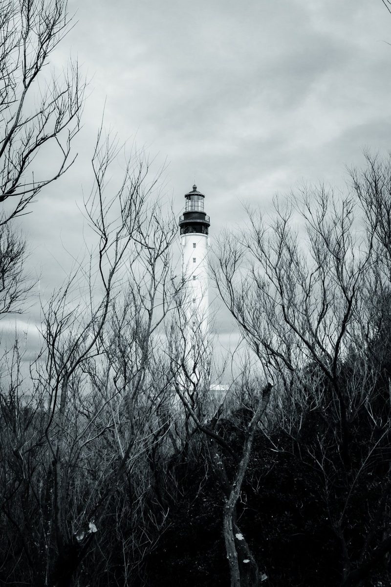 The lighthouse lantern emerges from a tangle of leafless branches.