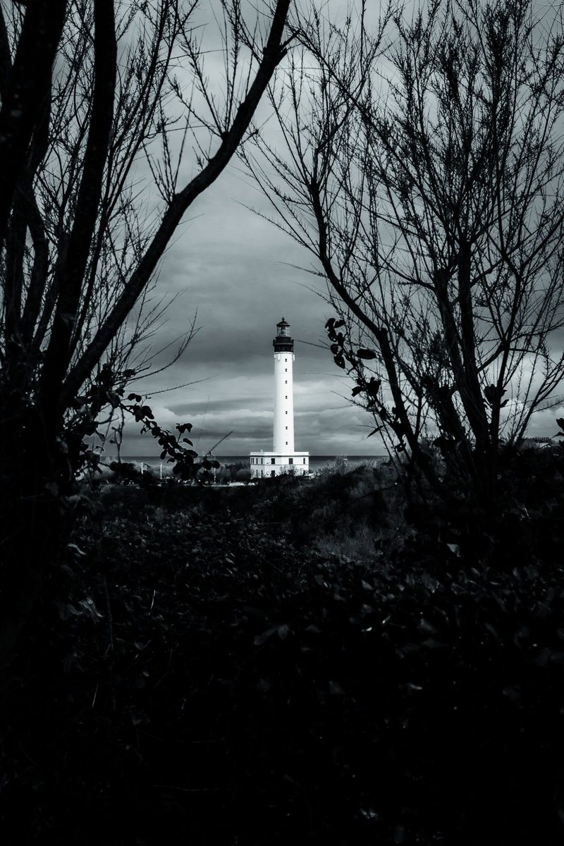 Two bare trees open a dark window onto the lighthouse, lit up under a stormy sky.