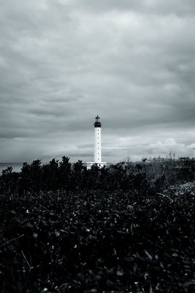 El faro asoma sobre un mar de arbustos negros, con el Atlántico detrás.