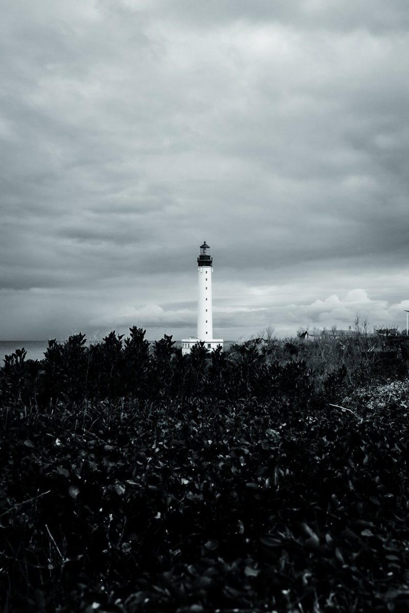 The lighthouse rises above a sea of black bushes, with the Atlantic behind.