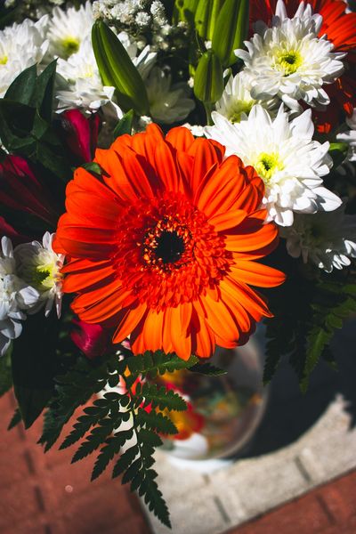 Una gerbera naranja en primer plano entre crisantemos blancos, con el jarrón desenfocado abajo.