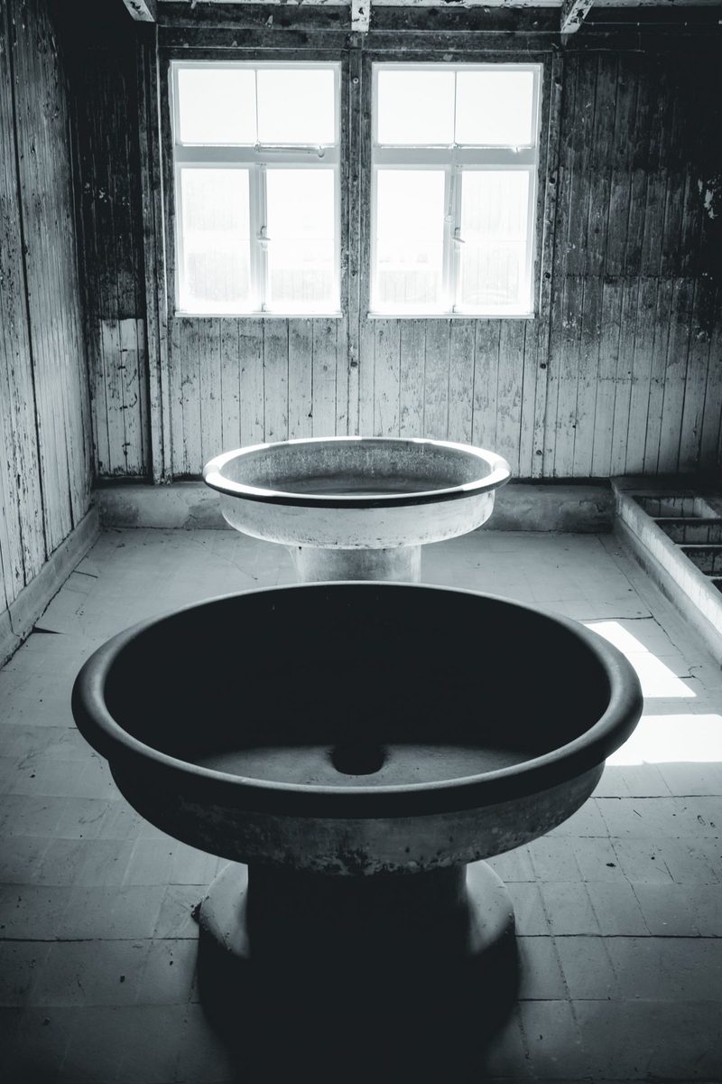 The circular basins of a barrack washroom, backlit.