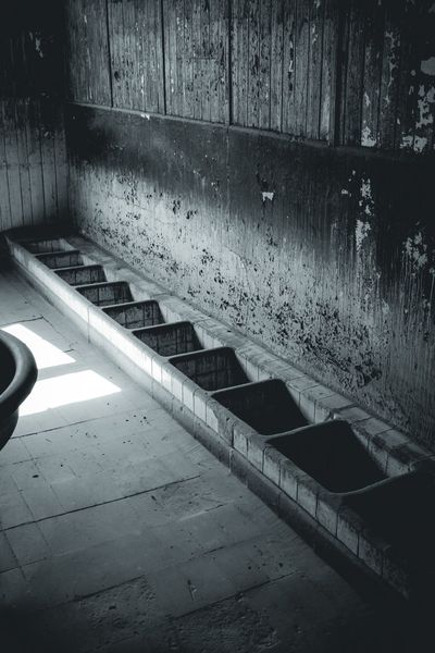 The row of washroom basins, with the paint peeling off the wall.