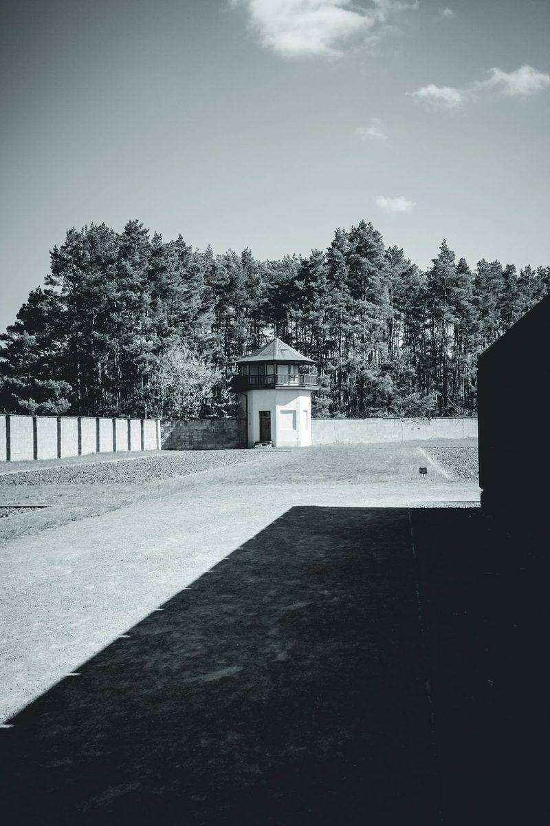 One of the towers on the perimeter wall, with the pine forest behind.