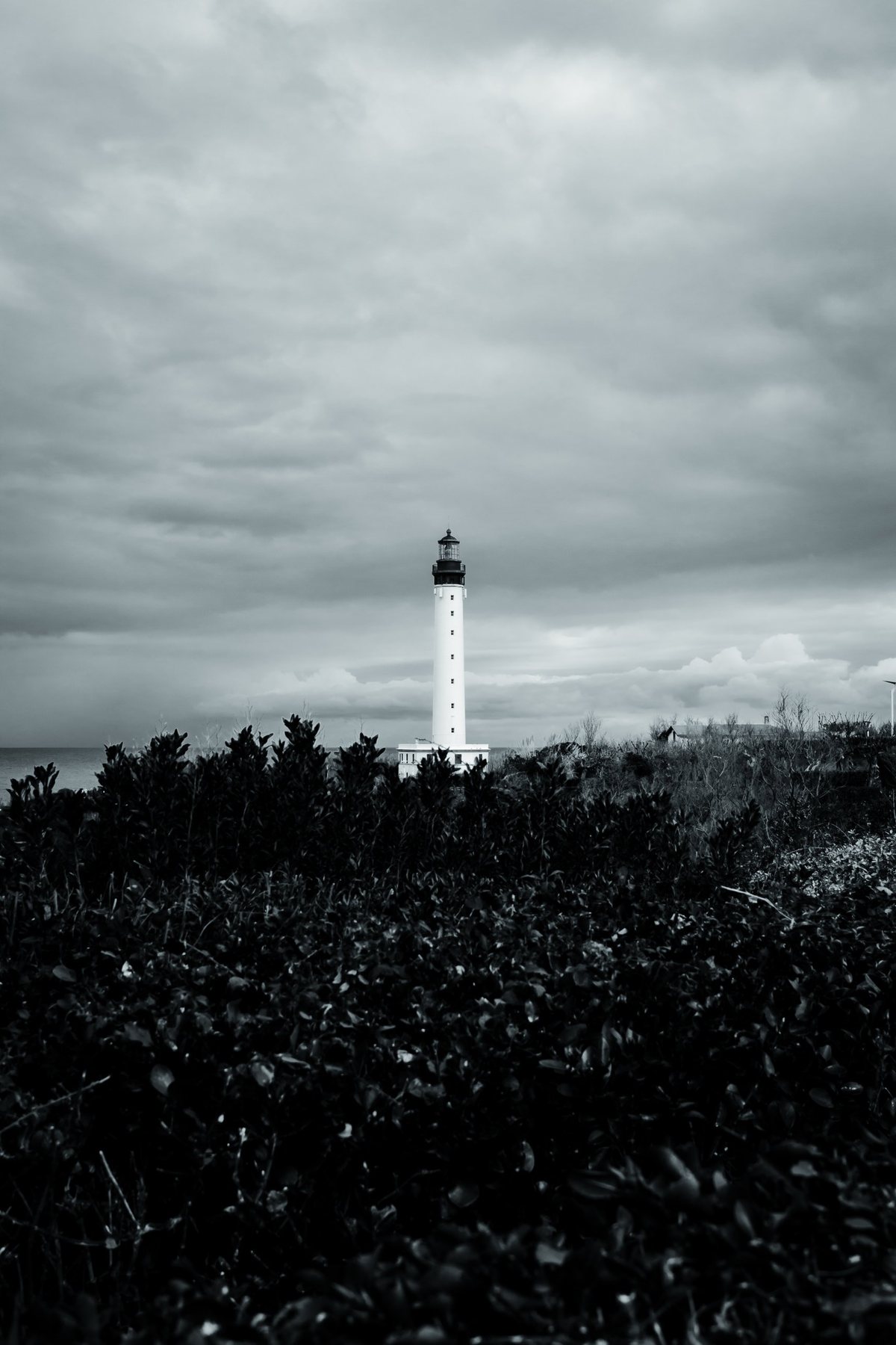 El faro asoma sobre un mar de arbustos negros, con el Atlántico detrás.