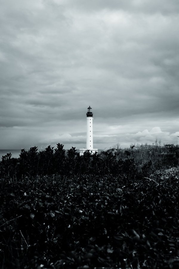 El faro asoma sobre un mar de arbustos negros, con el Atlántico detrás.